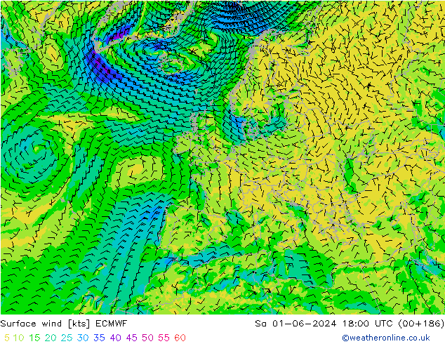 wiatr 10 m ECMWF so. 01.06.2024 18 UTC