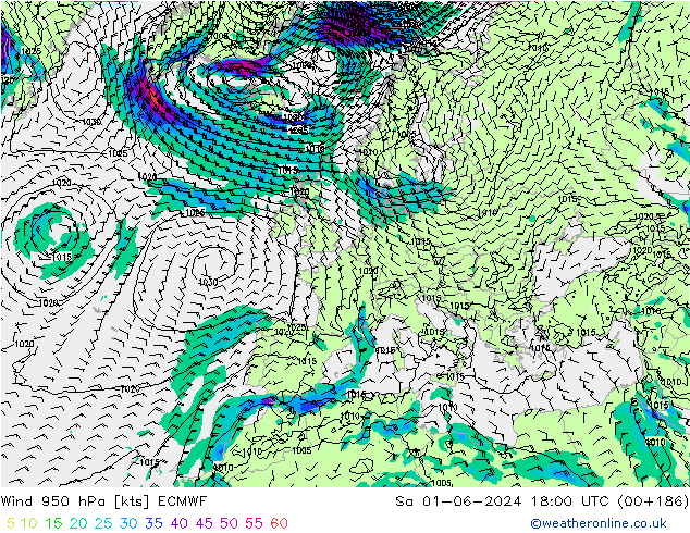  950 hPa ECMWF  01.06.2024 18 UTC