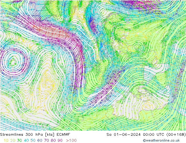 Streamlines 300 hPa ECMWF Sa 01.06.2024 00 UTC