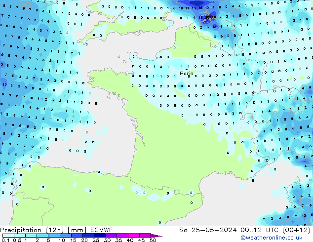 Yağış (12h) ECMWF Cts 25.05.2024 12 UTC