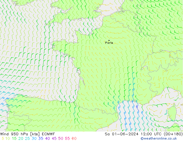 Wind 950 hPa ECMWF Sa 01.06.2024 12 UTC