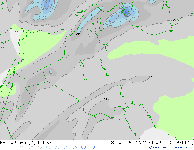 RH 300 hPa ECMWF Sa 01.06.2024 06 UTC