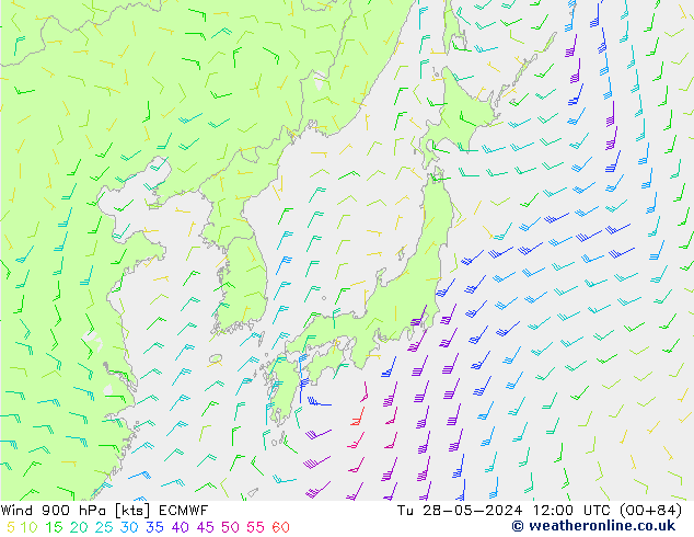 Wind 900 hPa ECMWF Tu 28.05.2024 12 UTC