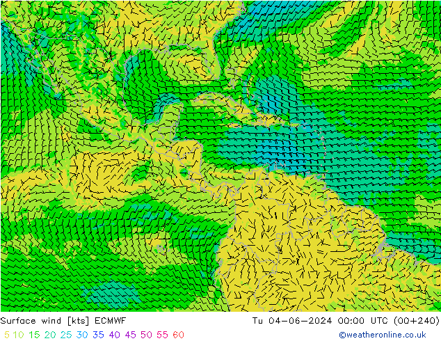 Wind 10 m ECMWF di 04.06.2024 00 UTC