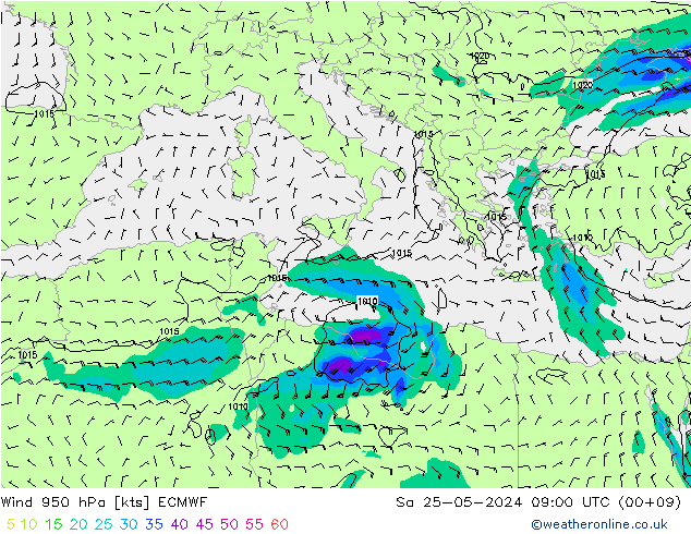  950 hPa ECMWF  25.05.2024 09 UTC