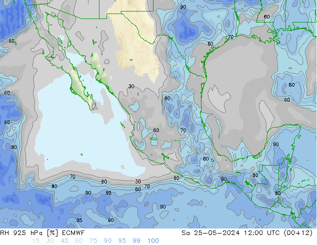 RH 925 hPa ECMWF Sa 25.05.2024 12 UTC