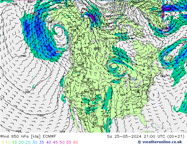 wiatr 950 hPa ECMWF so. 25.05.2024 21 UTC