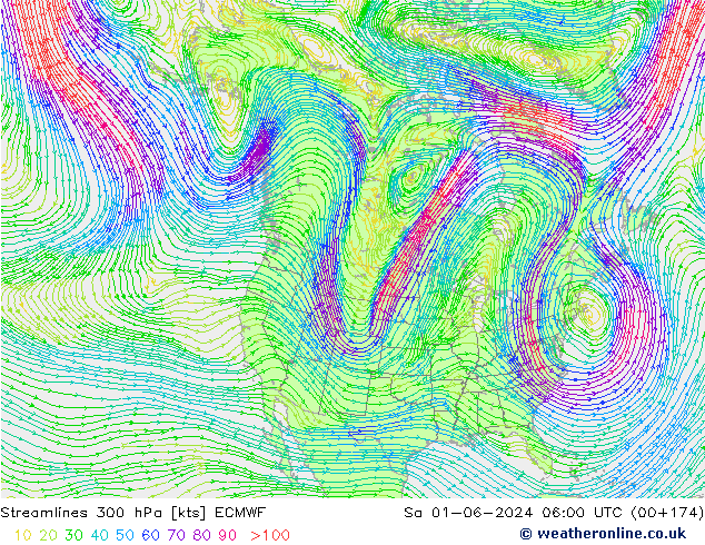 Linea di flusso 300 hPa ECMWF sab 01.06.2024 06 UTC