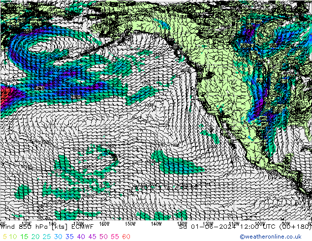 Wind 850 hPa ECMWF Sa 01.06.2024 12 UTC