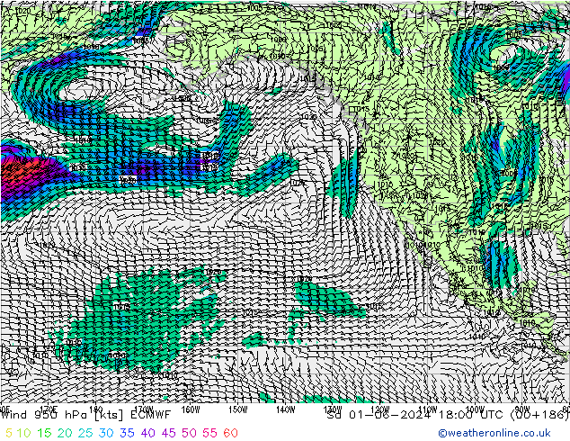 Wind 950 hPa ECMWF Sa 01.06.2024 18 UTC