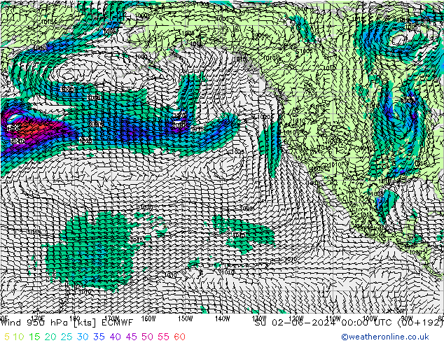 ветер 950 гПа ECMWF Вс 02.06.2024 00 UTC