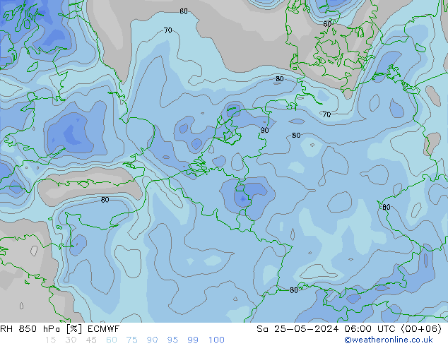 RH 850 гПа ECMWF сб 25.05.2024 06 UTC