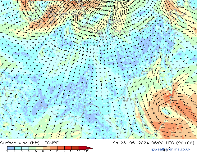 Vento 10 m (bft) ECMWF sab 25.05.2024 06 UTC