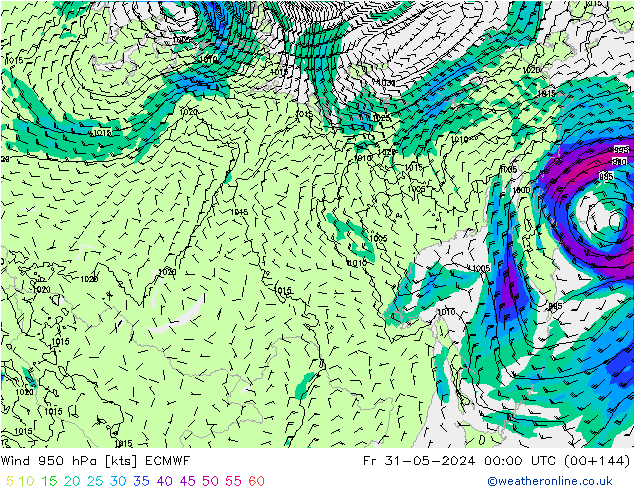 ветер 950 гПа ECMWF пт 31.05.2024 00 UTC