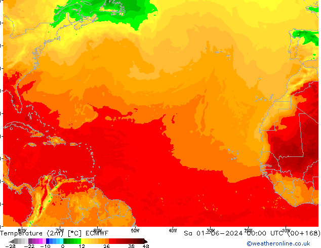 карта температуры ECMWF сб 01.06.2024 00 UTC