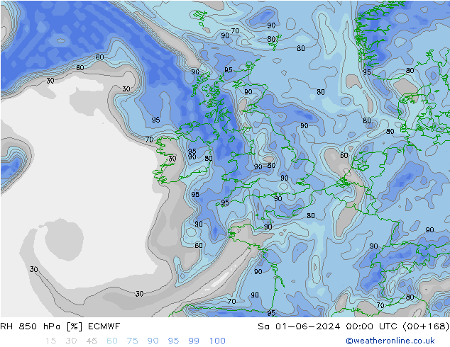 RH 850 hPa ECMWF sab 01.06.2024 00 UTC