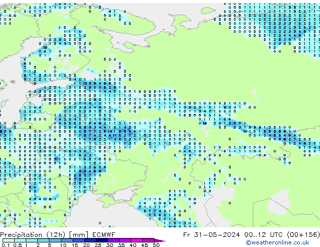 Totale neerslag (12h) ECMWF vr 31.05.2024 12 UTC