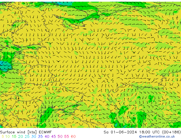 Surface wind ECMWF Sa 01.06.2024 18 UTC