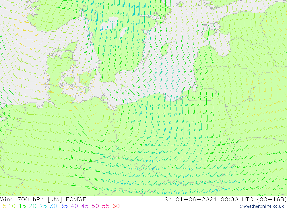 Wind 700 hPa ECMWF So 01.06.2024 00 UTC