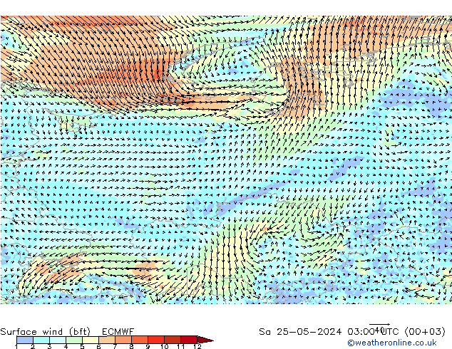  10 m (bft) ECMWF  25.05.2024 03 UTC