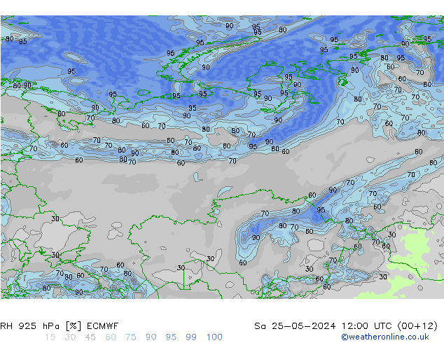 925 hPa Nispi Nem ECMWF Cts 25.05.2024 12 UTC