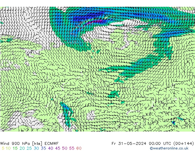 Wind 900 hPa ECMWF Fr 31.05.2024 00 UTC