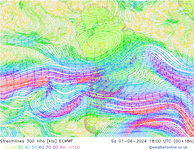 Rüzgar 300 hPa ECMWF Cts 01.06.2024 18 UTC