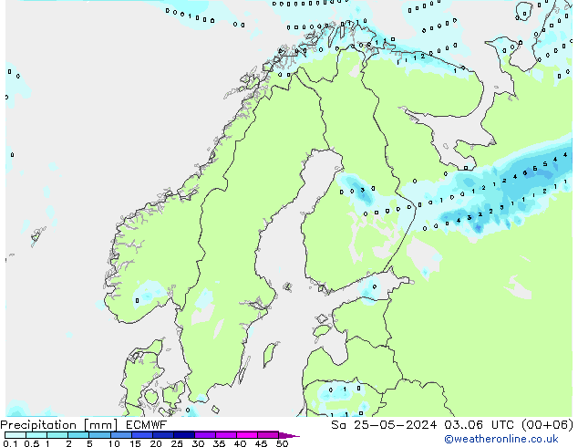 Precipitazione ECMWF sab 25.05.2024 06 UTC