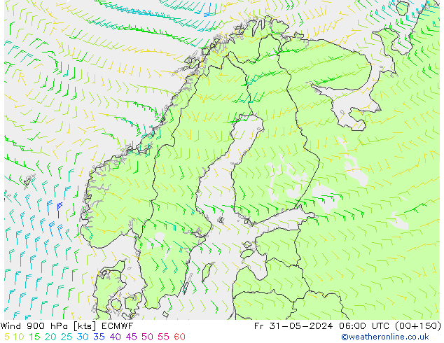 Wind 900 hPa ECMWF vr 31.05.2024 06 UTC