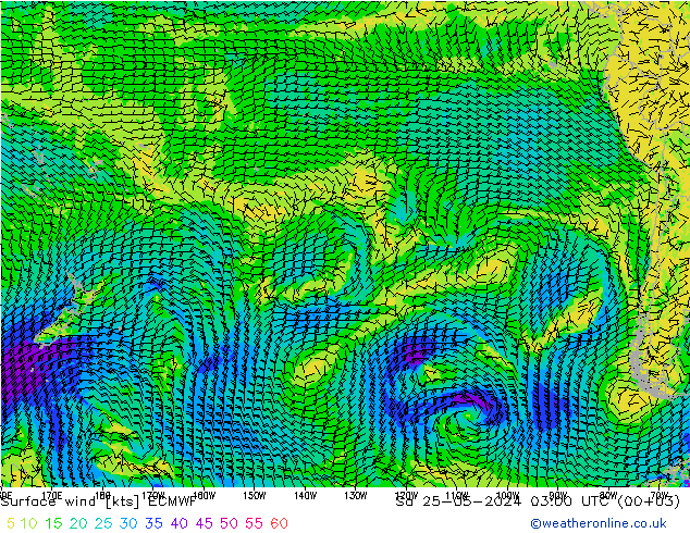 Rüzgar 10 m ECMWF Cts 25.05.2024 03 UTC