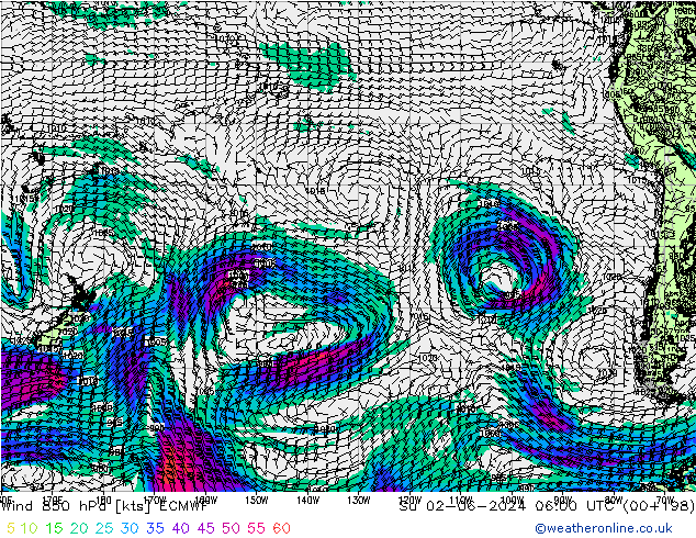 Vent 850 hPa ECMWF dim 02.06.2024 06 UTC