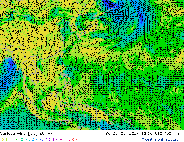 Surface wind ECMWF So 25.05.2024 18 UTC