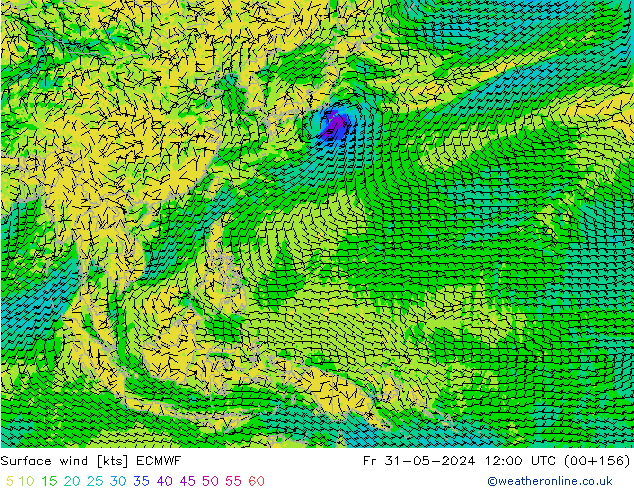 Vent 10 m ECMWF ven 31.05.2024 12 UTC