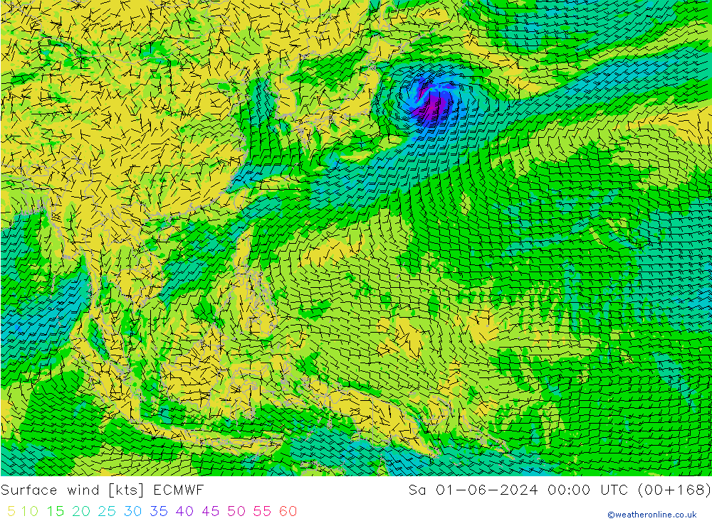 Surface wind ECMWF So 01.06.2024 00 UTC