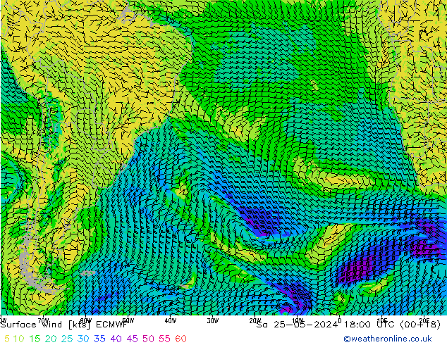 Surface wind ECMWF Sa 25.05.2024 18 UTC