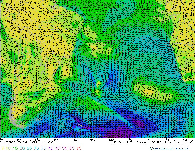  10 m ECMWF  31.05.2024 18 UTC