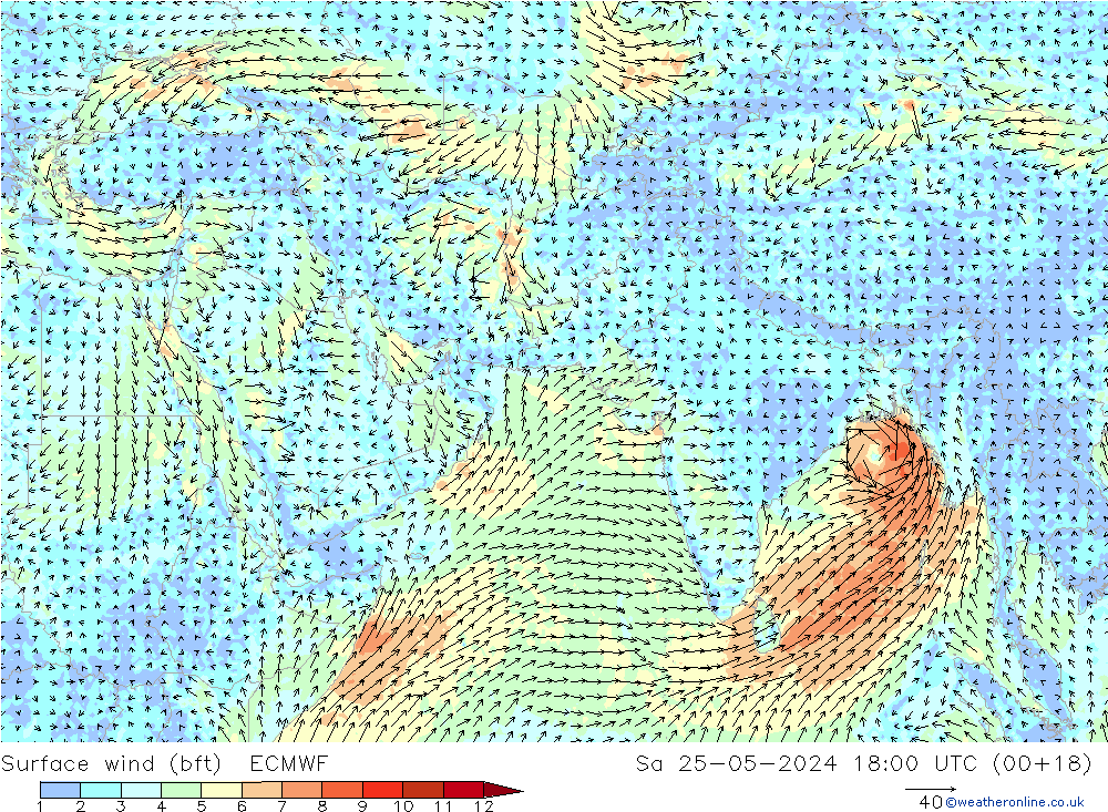 Vento 10 m (bft) ECMWF sab 25.05.2024 18 UTC