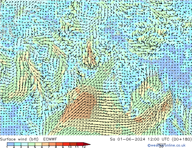 Vento 10 m (bft) ECMWF Sáb 01.06.2024 12 UTC