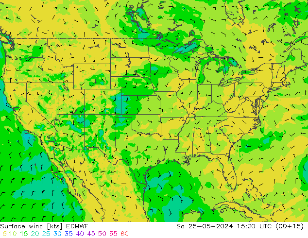 wiatr 10 m ECMWF so. 25.05.2024 15 UTC