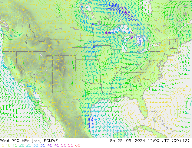 Viento 900 hPa ECMWF sáb 25.05.2024 12 UTC