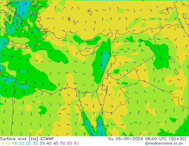 Rüzgar 10 m ECMWF Paz 26.05.2024 06 UTC