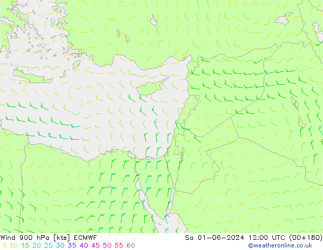  900 hPa ECMWF  01.06.2024 12 UTC