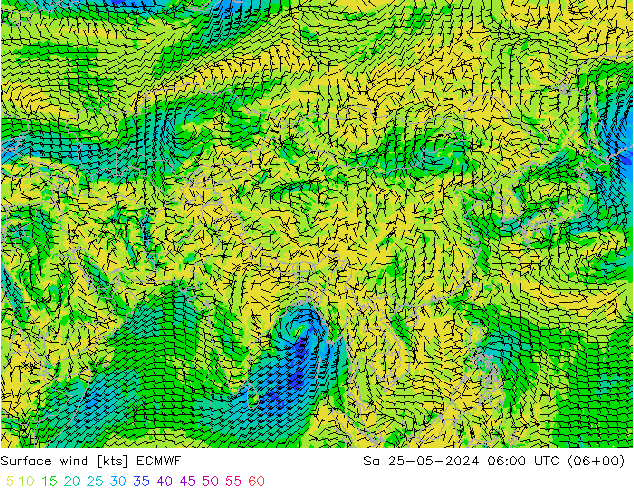 Rüzgar 10 m ECMWF Cts 25.05.2024 06 UTC