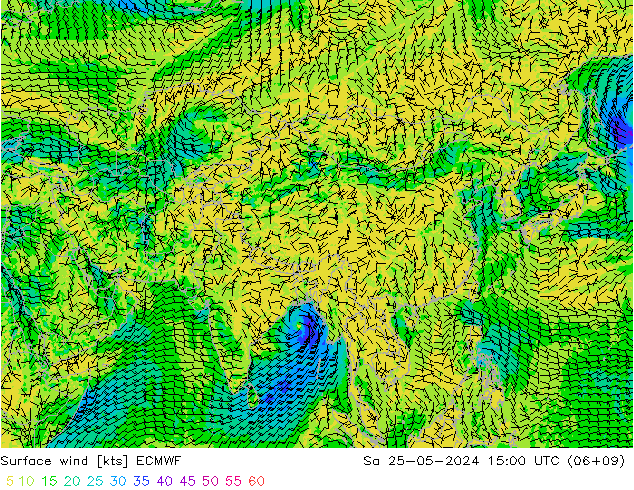 Surface wind ECMWF So 25.05.2024 15 UTC