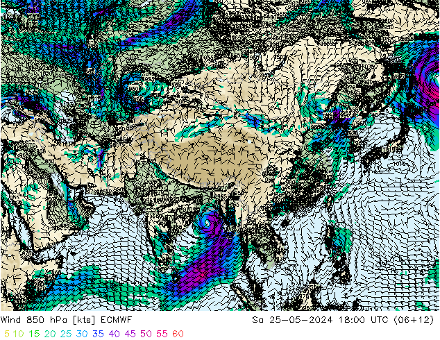 wiatr 850 hPa ECMWF so. 25.05.2024 18 UTC