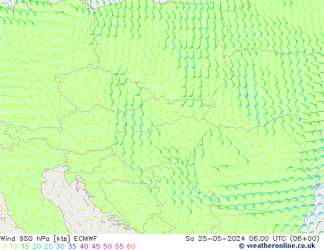  Sa 25.05.2024 06 UTC