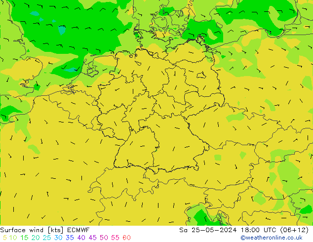 Surface wind ECMWF Sa 25.05.2024 18 UTC