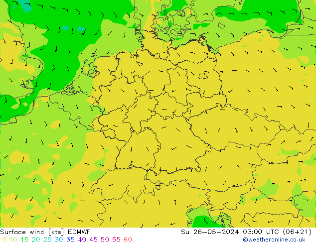  10 m ECMWF  26.05.2024 03 UTC