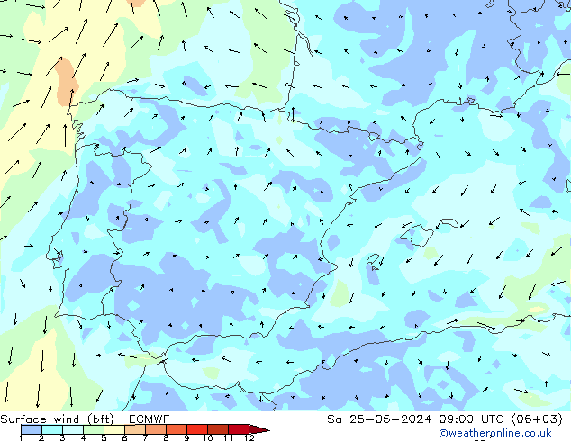 Wind 10 m (bft) ECMWF za 25.05.2024 09 UTC