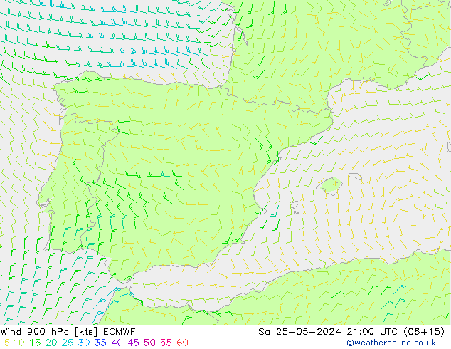 Wind 900 hPa ECMWF Sa 25.05.2024 21 UTC